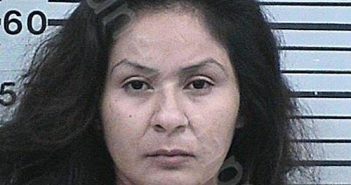 GUEVARA, RUBI | 2024-01-30 14:25:25 Hood County, Texas Booking