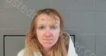 BAROLET-WATSON, SHENAN NICOLE | 2024-01-31 19:35:00 Taylor County, West Virginia Booking