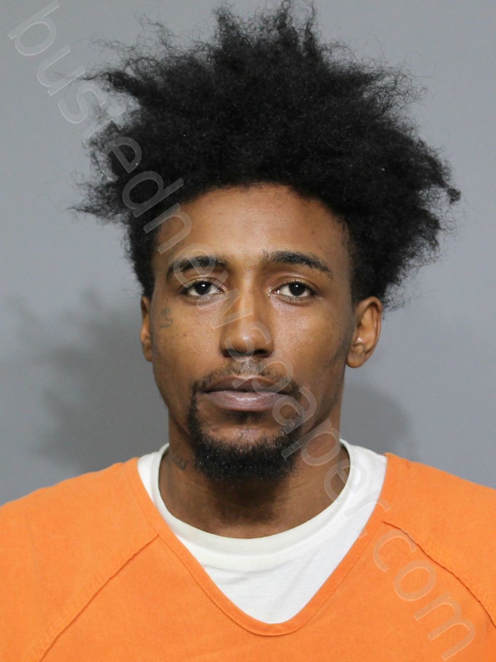 HUTCHISON, LAJORDAN RESHAD #, York County, South Carolina - 2024-01-31 22:27:24