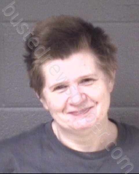 CARPENTER, CARRIE NICHOLE #, Buncombe County, North Carolina - 2024-01-31