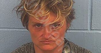 <B>WANDKE</B>, <B>BRITTANY</B> <B>NICOLE</B> #, Etowah County, Alabama - 2024-01-31 08:13:51