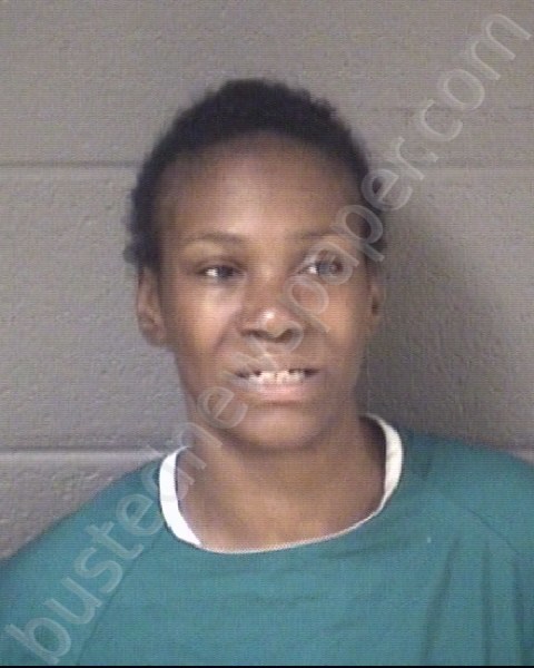 WEBBER, DOMINIQUE PETRICE #, Buncombe County, North Carolina - 2024-01-31