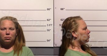 PRIDDY, ERICA NICHOLE | 2024-02-01 Gillespie County, Texas Booking