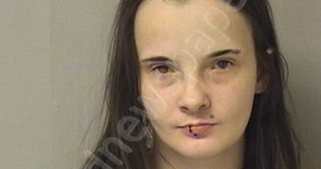 WILSON, BRITTENY MICHELLE | 2024-02-01 23:55:00 Wood County, West Virginia Booking
