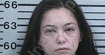LOPEZ, DACIA RAYLYNN | 2024-02-01 01:45:51 Hood County, Texas Booking