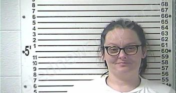 <B>FLORES</B>, <B>ASHLEY</B> LYNN #, Hardin County, Kentucky - 2024-02-01 10:25:00