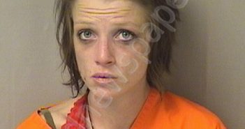 ALLEN, AMY DIANA | 2024-02-01 03:30:00 Wood County, West Virginia Booking