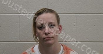 CASSY LYN ELLIOTT | 2024-02-01 04:07:00 Andrew County, Missouri Booking