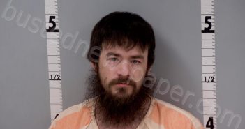 HULINGS, MICHAEL DUANE | 2024-02-01 16:18:00 Gratiot County, Michigan Booking