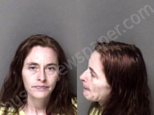 MARTIN, ROSE ANN #, Gaston County, North Carolina - 2024-02-02 18:58:00