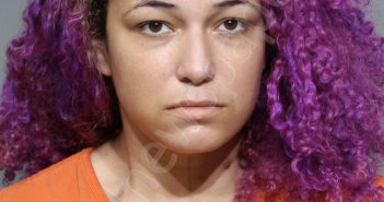DONAWAY, CHANTAY NICOLE | 2024-02-02 18:35:30 York County, South Carolina Booking