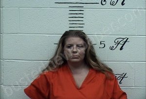 HAYNES, REAGAN LEE | 2024-02-03 Crockett County, Tennessee Booking