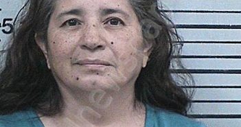 HIDALGO, BERTHA ELISA | 2024-02-04 06:37:39 Hood County, Texas Booking