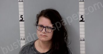 STROUSE, BRIANNA LEE | 2024-02-05 12:16:00 Gratiot County, Michigan Booking