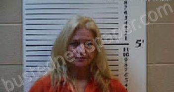 ROSEN, LISA LYNN | 2024-02-05 00:56:00 Cherokee County, North Carolina Booking