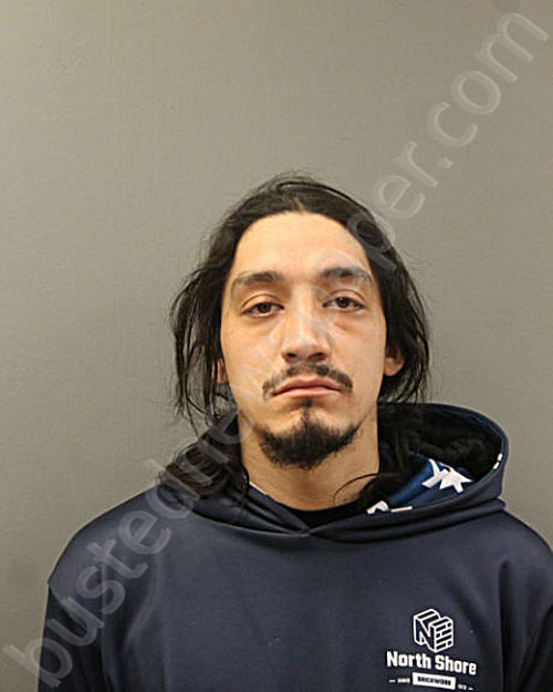 ANGEL L ALVAREZ #, Chicago, Illinois, Cook County, Illinois - 2024-02-06