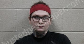 ALISSA RENEE ZAHNER | 2024-02-06 09:20:00 Andrew County, Missouri Booking