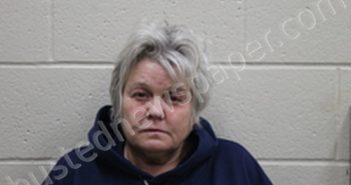 KRISTEN L PENISKA | 2024-02-08 18:19:00 Andrew County, Missouri Booking