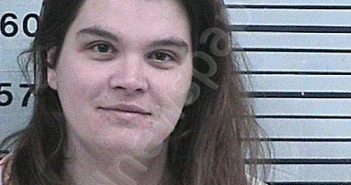 WEBB, BRANDI DAWN | 2024-02-09 21:02:42 Hood County, Texas Booking