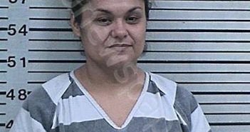 WUBS, AMANDA ANN | 2024-02-09 15:35:39 Hood County, Texas Booking