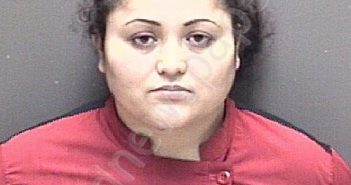 <B>HERNANDEZ</B> <B>AVILA</B>, <B>ANGELA</B> <B>HORTENCIA</B> #, Galveston County, Texas - 2024-02-10 05:04:00