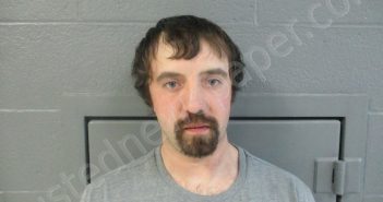 NELSON, ROBERT JOHN | 2024-02-11 03:40:00 Pocahontas County, West Virginia Booking