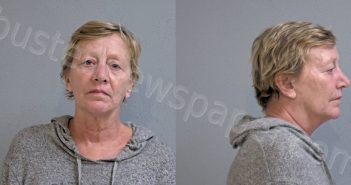 LECK, DONNA THERESA | 2024-02-11 Hidalgo County, Texas Booking