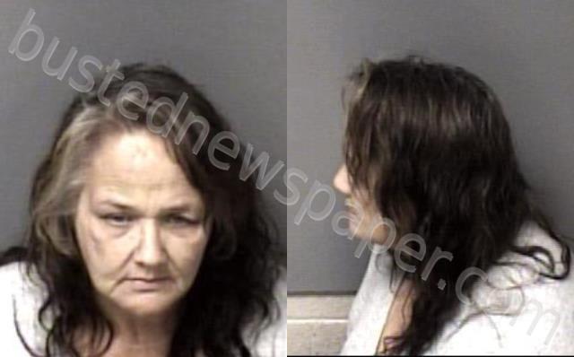 MULLINAX, MELISSA JILL #, Gaston County, North Carolina - 2024-02-11 13:13:00