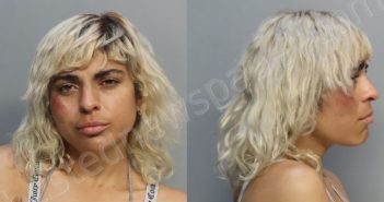 MARTINEZ, PATRCIA | 2024-02-13 14:11:00 Miami-Dade County, Florida Booking