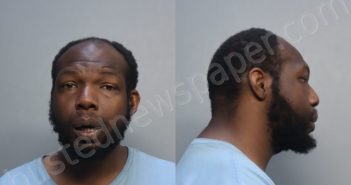 WATKINS, DWAYNE ALLDENJAVIER | 2024-02-13 12:29:00 Miami-Dade County, Florida Booking