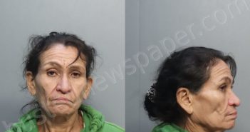 REDONDO, CARMEN LUISA | 2024-02-13 09:18:00 Miami-Dade County, Florida Booking