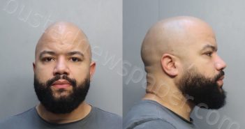 DAGG, JOSEPH REGINALD | 2024-02-13 13:46:00 Miami-Dade County, Florida Booking