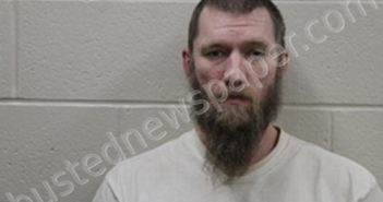 ERIN LEE GRAVES | 2024-02-13 07:56:00 Andrew County, Missouri Booking