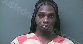 TURNER, JOSHUA DESHA | 2024-02-14 00:14:00 Laporte County, Indiana, La Porte County, Indiana Booking