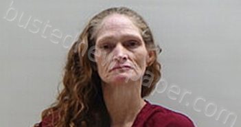 <B>JOHNSON</B> <B>MICHELLE</B> <B>LYNN</B> #, Cameron County, Texas - 2024-02-14