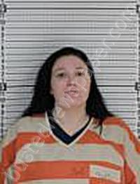 JOHNSON, SAMANTHA JEAN #, Williams County, North Dakota - 2024-02-14