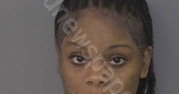 <B>TYSON</B>, <B>KATILYN</B> <B>AMAYA</B> <B>S</B> #, Union County, North Carolina - 2024-02-14 21:01:00