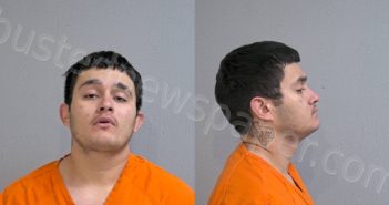 <B>HERNANDEZ</B>, <B>HECTOR</B> <B>JULIAN</B> #, Hidalgo County, Texas - 2024-02-15