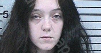 DAVIS, GABRIELLE RENEE | 2024-02-15 20:27:44 Hood County, Texas Booking