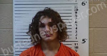 PHILLIPS, ETHAN HAWK | 2024-02-16 04:08:00 Cherokee County, North Carolina Booking