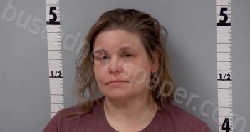 HERINGTON, TRACEY JO | 2024-02-16 23:31:00 Gratiot County, Michigan Booking