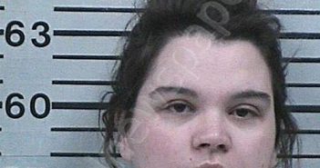 WEBB, BRANDI DAWN | 2024-02-16 19:34:02 Hood County, Texas Booking