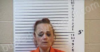 KNIGHT, MICHELLE KAY | 2024-02-16 16:35:00 Cherokee County, North Carolina Booking