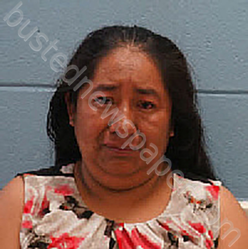 ANDREA DOMINGO PEREZ #, Lee County, Alabama - 2024-02-17