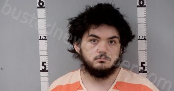 DELEON, MATTHEW JAMES | 2024-02-17 15:37:00 Gratiot County, Michigan Booking