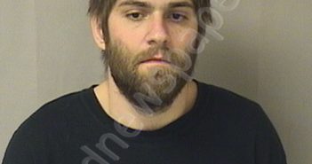 BRUN, DELBERT JOHN | 2024-02-17 12:00:00 Wood County, West Virginia Booking