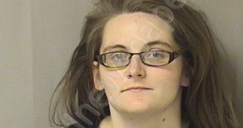 HAYNES, ASHLEY LOUISE | 2024-02-18 02:00:00 Wood County, West Virginia Booking