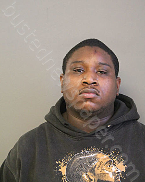 MOSES CARL WILLIAMS #, Chicago, Illinois - 2024-02-18