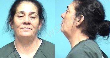 MEDINA, CARMEN GLORIA CONCEPCION | 2024-02-19 16:59:00 Lorain County, Ohio Booking