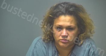 DEXTER, DANIELLE NICHOL | 2024-02-19 00:20:00 Isabella County, Michigan Booking